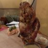 Pivnice Stupartska；老舗チェコ郷土料理レストランで豚ひざ肉の丸焼き@プラハ