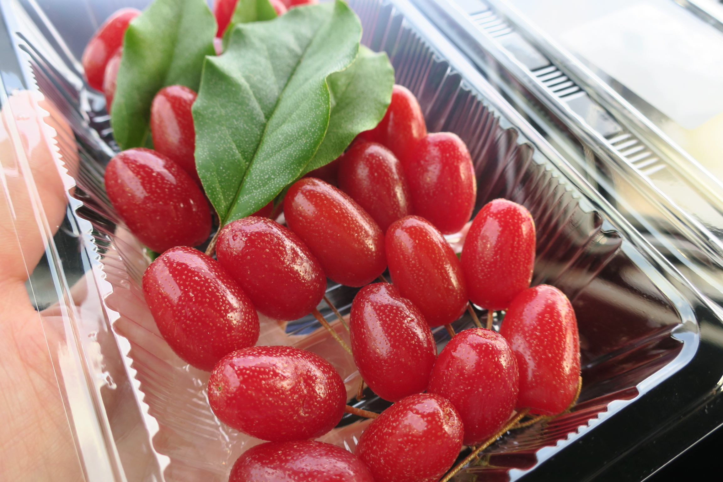 グミの実の味を知っていますか 甘い美味しいフルーツのほうです 道の駅ふるさと豊田 長野県中野市